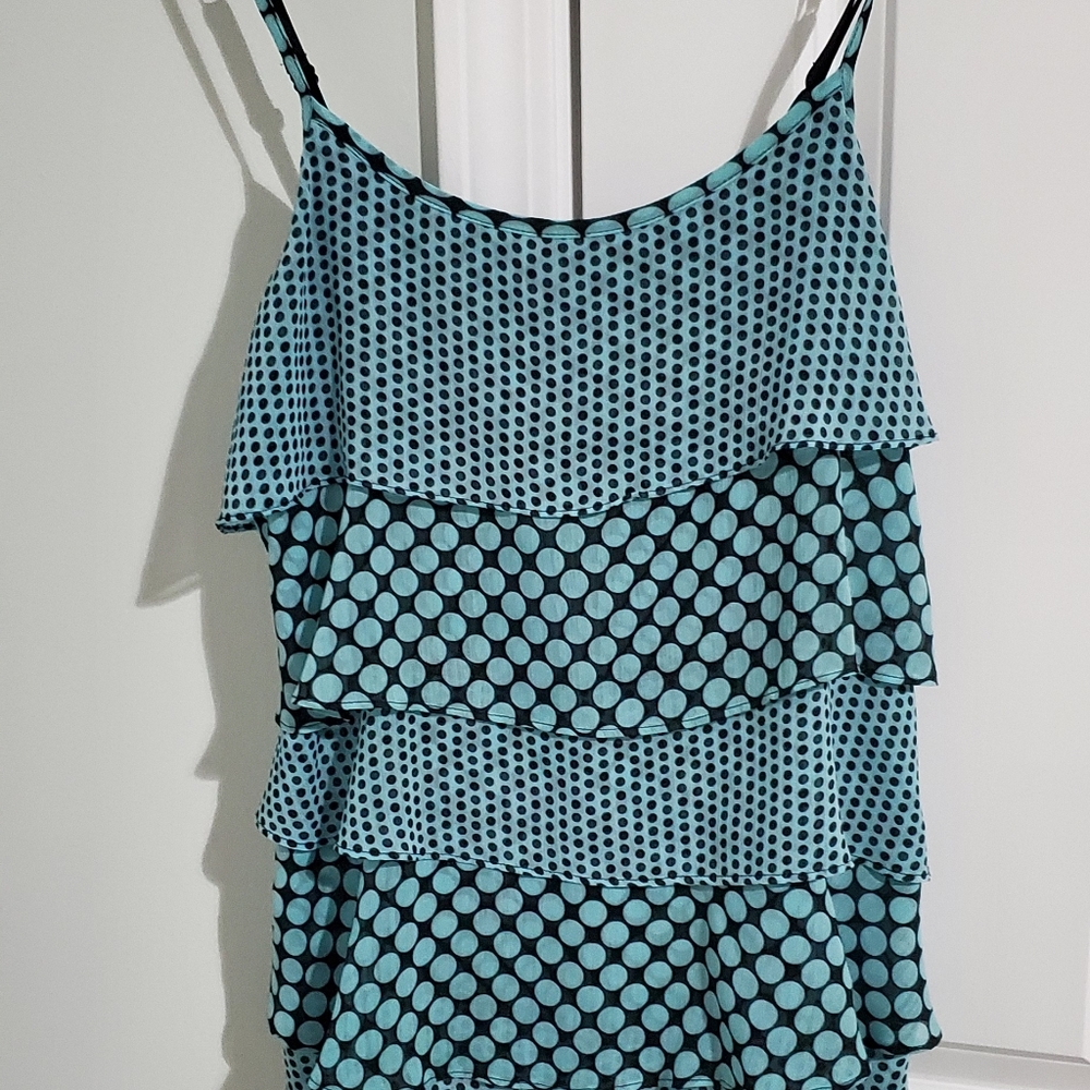 The Limited Blouse